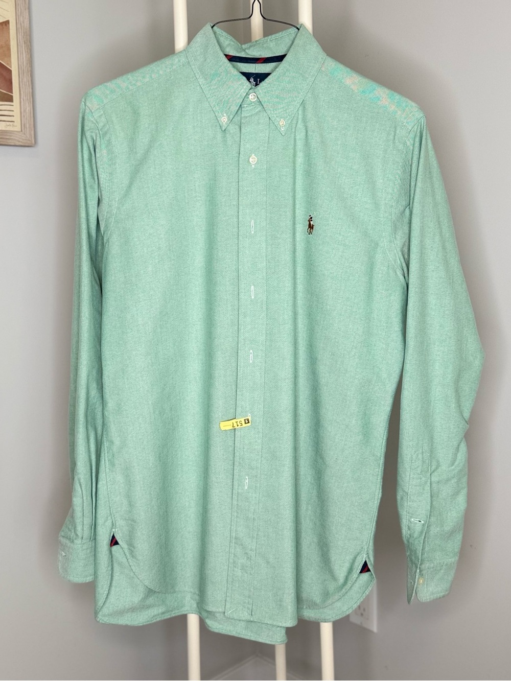 Polo by Ralph Lauren Mint Green Button-Down Dress Shirt